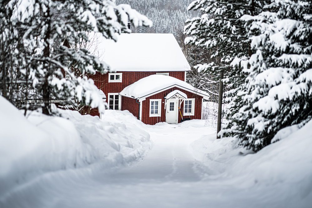 Μιλάμε για πολύ χιόνι στο WRC της Σουηδίας 